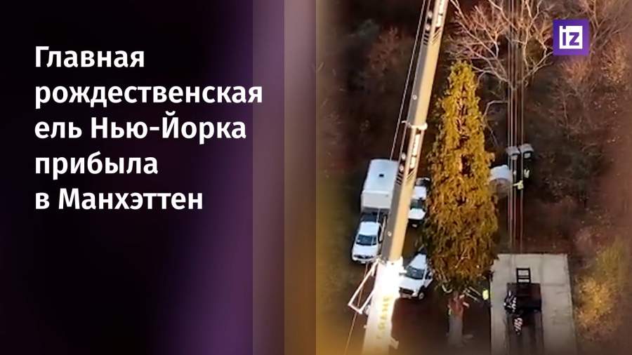 Главную рождественскую ель Нью-Йорка доставили в Манхэттен