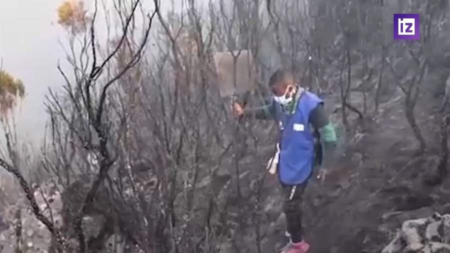 На склонах Килиманджаро вспыхнули новые лесные пожары