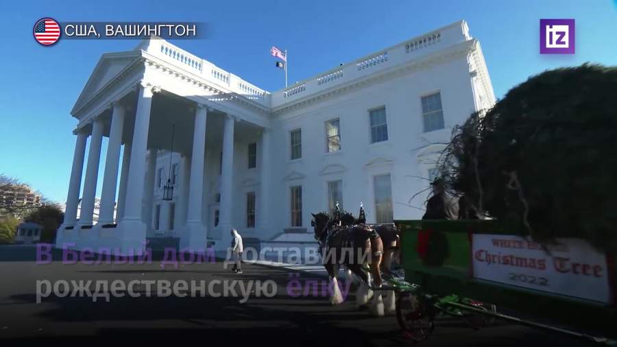 В Белый дом доставили рождественскую ель