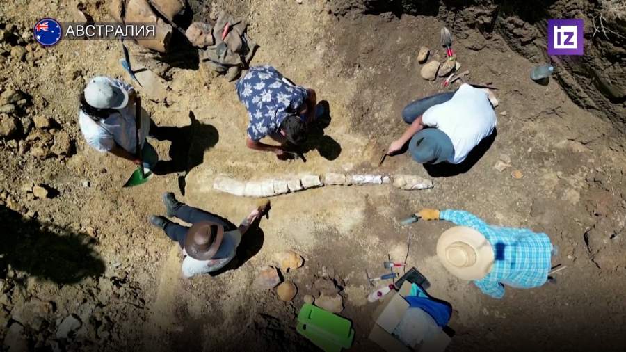 Австралийские палеонтологи нашли останки древней морской рептилии