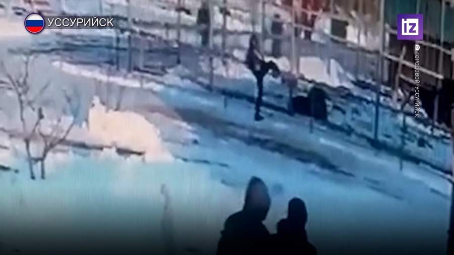 В Приморье возбудили дело после нападения льва на пьяную посетительницу зоопарка