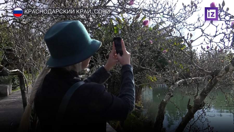 В Сочи из-за теплой погоды зимы расцвели первые весенние цветы и экзотические деревья