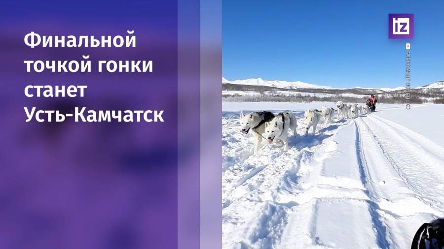На Камчатке стартовала гонка на собачьих упряжках