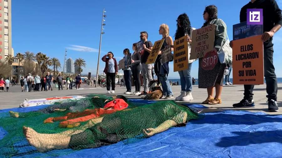 В Барселоне прошла демонстрация против открытия фермы по разведению осьминогов