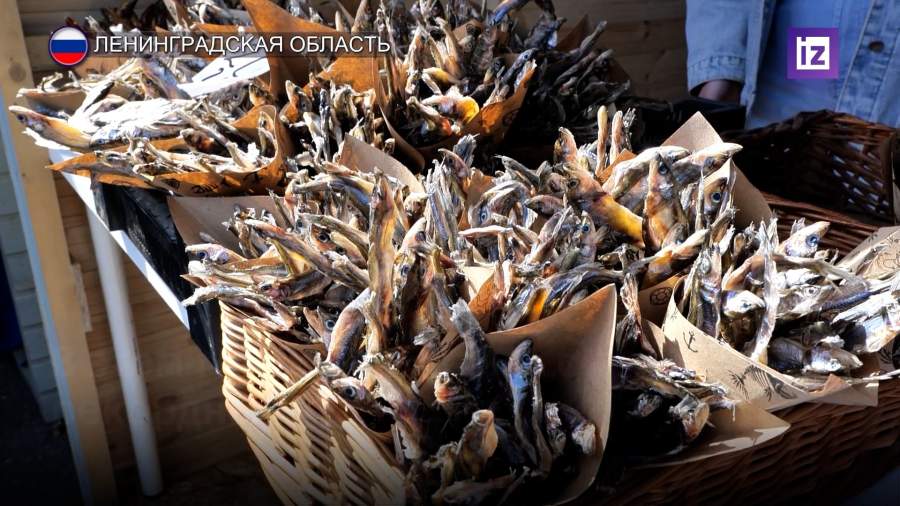 В Новой Ладоге состоялся традиционный фестиваль «Корюшка идет»