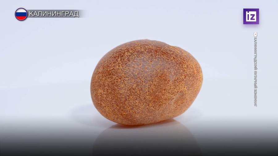 В Калининградской области нашли крупнейшую в истории янтарную каплю