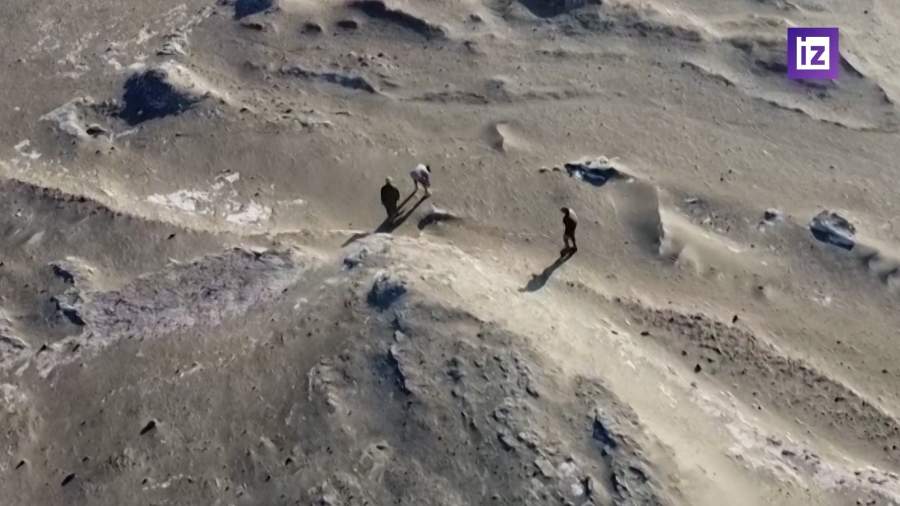 Ученые показали окаменелого кита эпохи эоцена