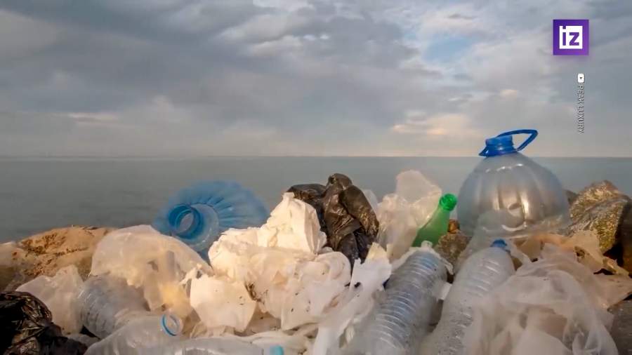 Киты и дельфины страдают от сильного загрязнения океана