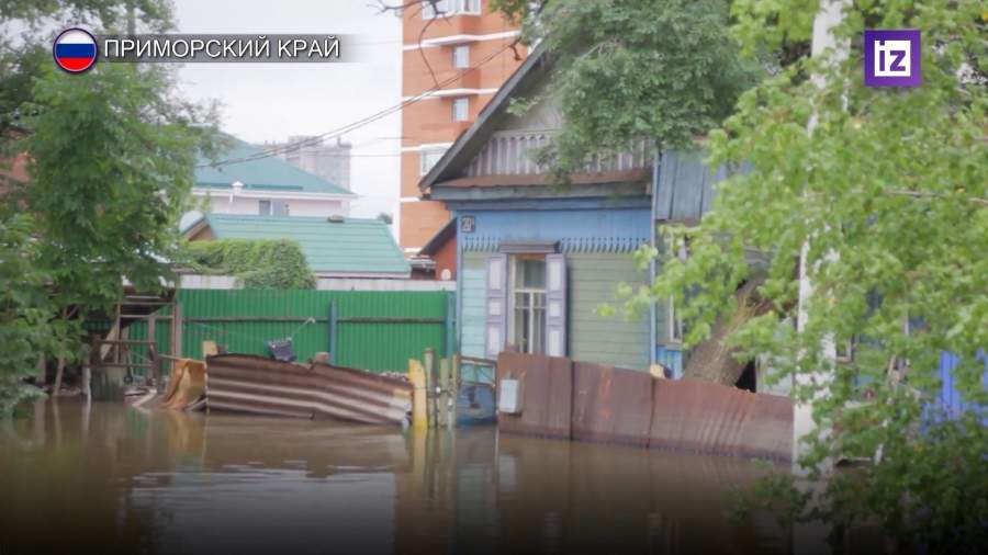 Волонтеры эвакуируют животных из затопленных районов Уссурийска