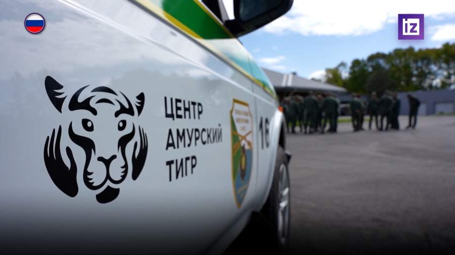 На Дальнем Востоке отмечают День тигра
