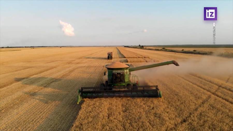 Экспорт зерна из России вырос более чем в два раза