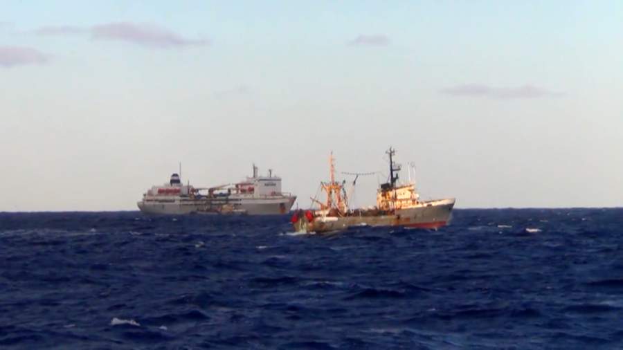 Россельхознадзор не обнаружил следов радиации в рыбе, добытой на Дальнем Востоке