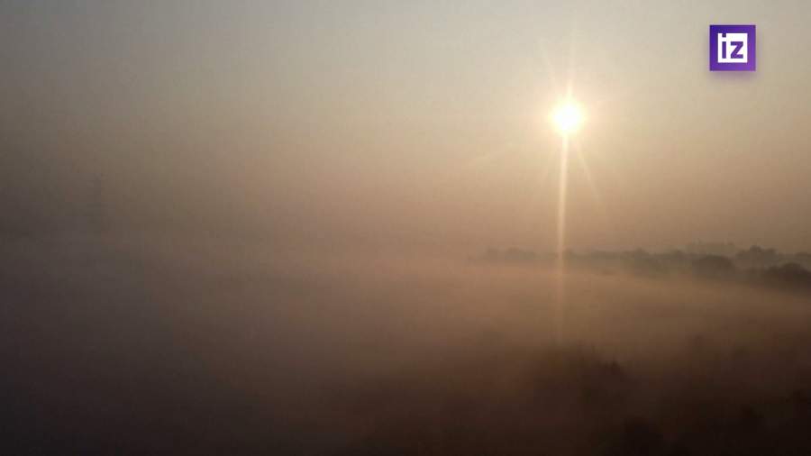 Столицу Индии окутал токсичный туман