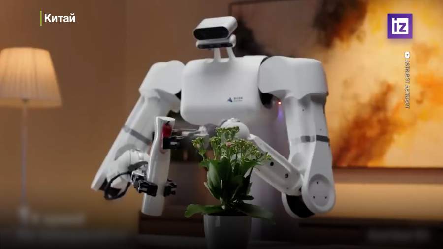 В Китае создали робота-дворецкого