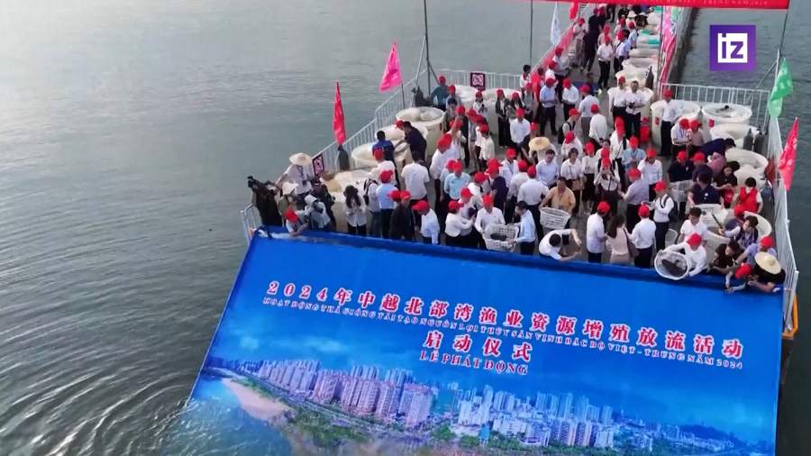 Китай и Вьетнам выпустили 128 млн особей рыб и креветок в залив Бэйбу