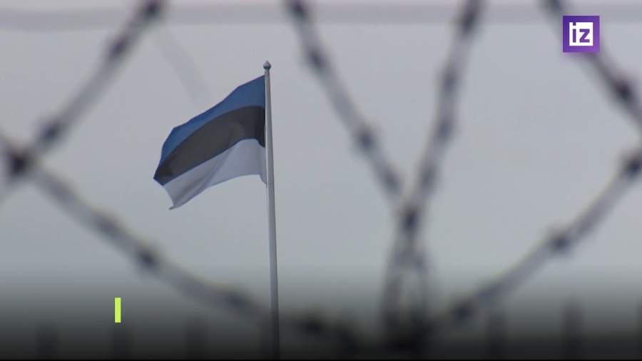 Эстония вдвое снизила пропускную способность КПП на границе с Россией