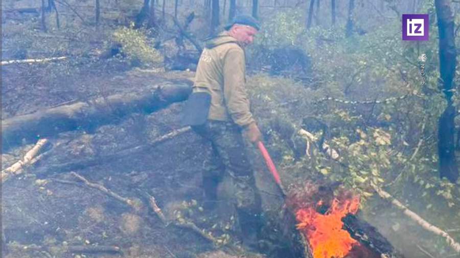 За сутки в Якутии ликвидировали восемь лесных пожаров