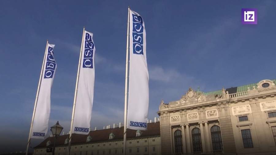 Россия не планирует полностью покидать ОБСЕ
