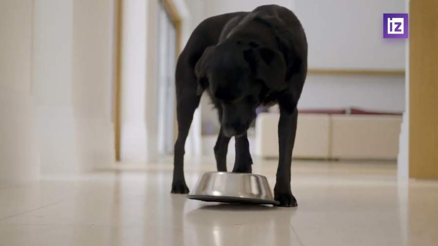 Владельцы домашних животных регулярно получают заказанный онлайн корм с нарушениями