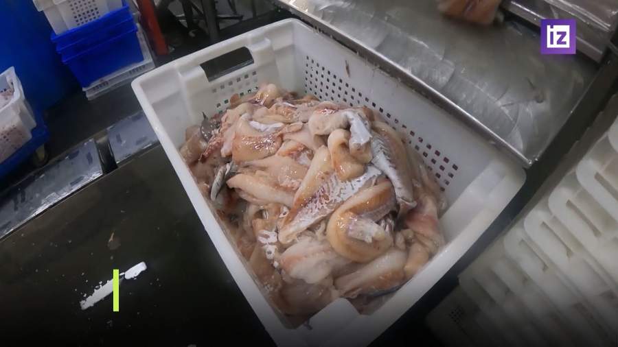 В РФ ужесточат оборот рыбной продукции