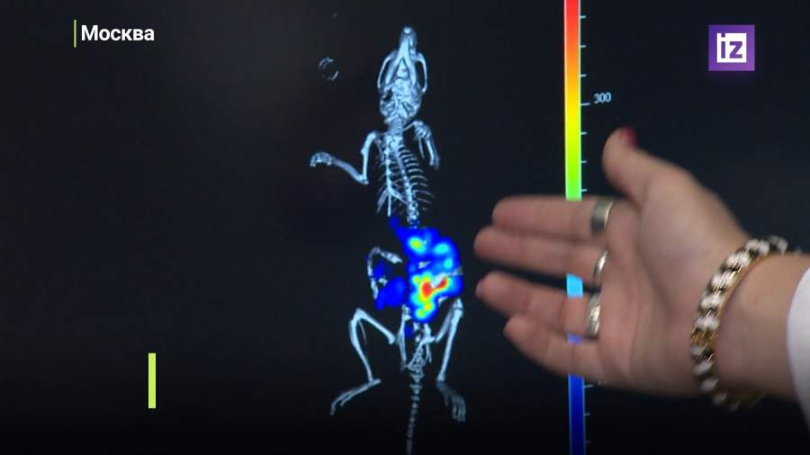 В РФ создают отечественный контрастный агент для УЗИ
