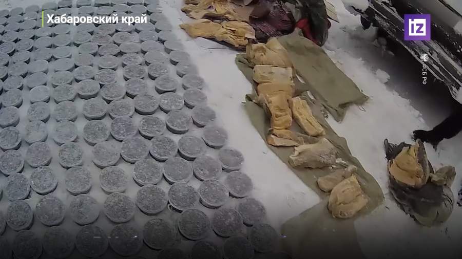 В Хабаровском крае были задержаны браконьеры