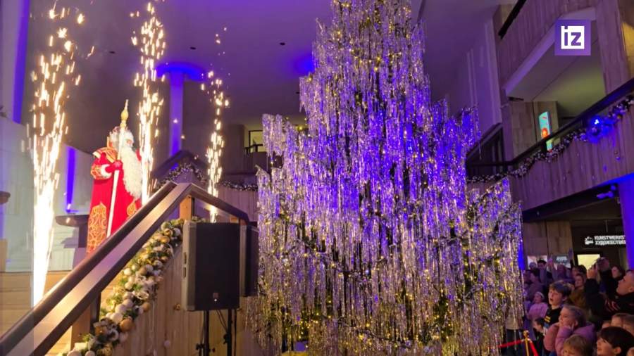 В Берлине зажгли новогодние огни на елке в Русском доме