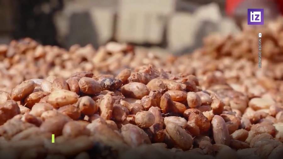 Производство шоколада под угрозой срыва