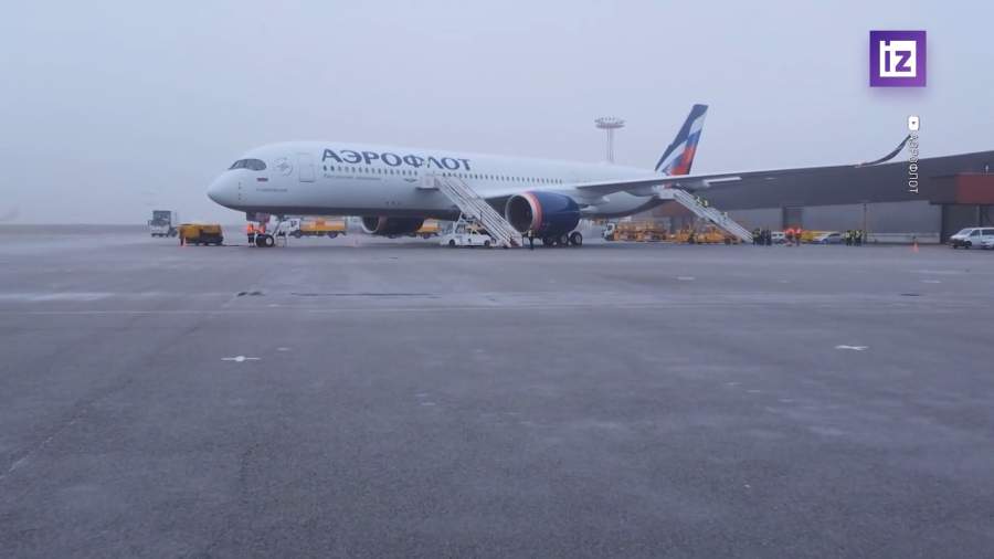 В РФ могут ввести потолок цен на авиабилеты