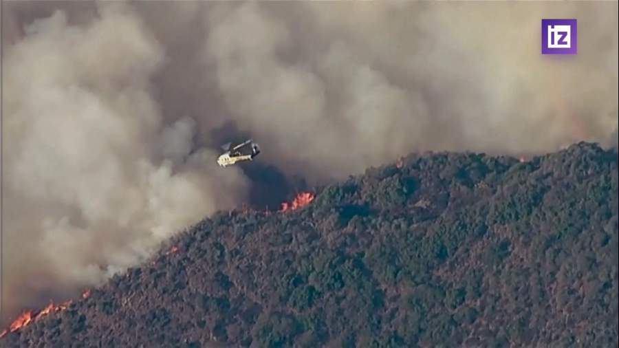 Маск назвал некомпетентность властей Калифорнии причиной пожаров