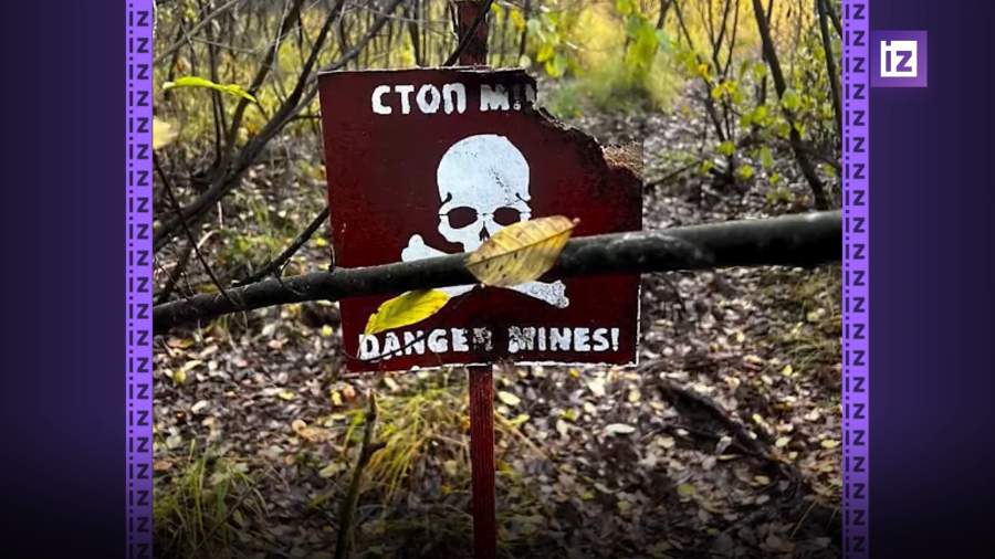 Украинцы оказались лидерами по нарушению границ Евросоюза