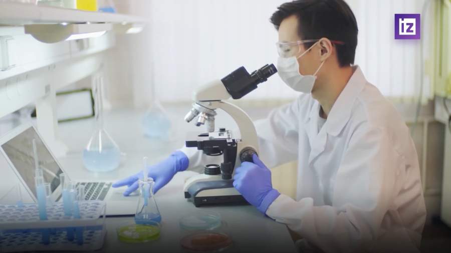 Стартовал совместный проект России и Италии по выращиванию мини-мозга