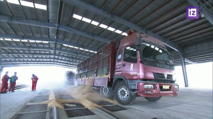 Россия понизит экспортную пошлину на пшеницу с 19 февраля