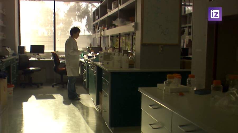 Российские ученые научились делать видимыми невидимые водоросли и организмы