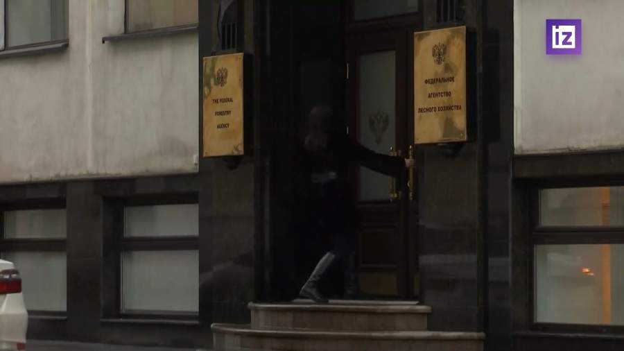 В РФ разработали сервис ИИ для прогнозирования лесных пожаров