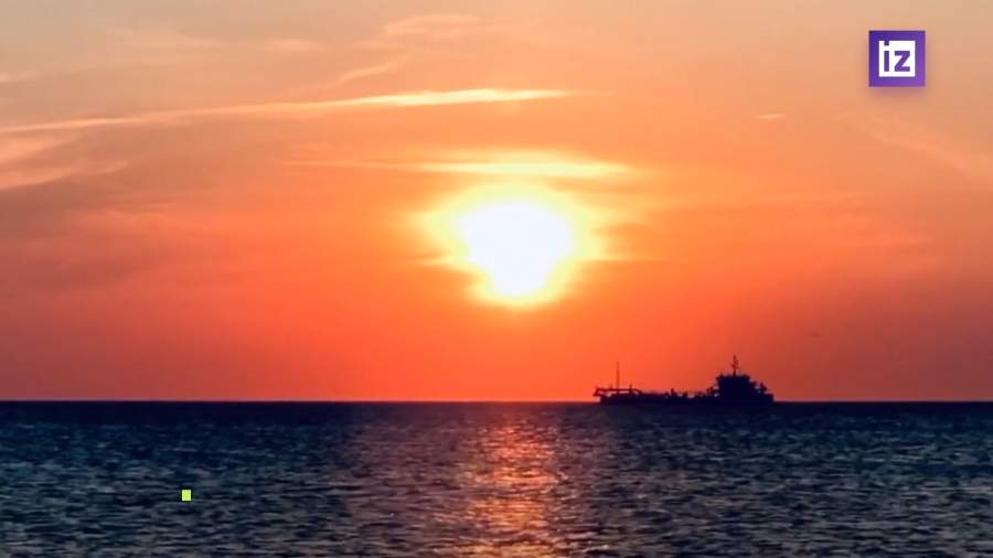 Поставки лимонов из Турции за рубеж будут временно приостановлены