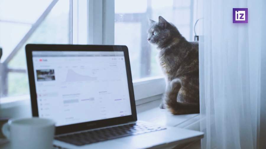 Мошенники придумали новую схему обмана с налоговыми вычетами