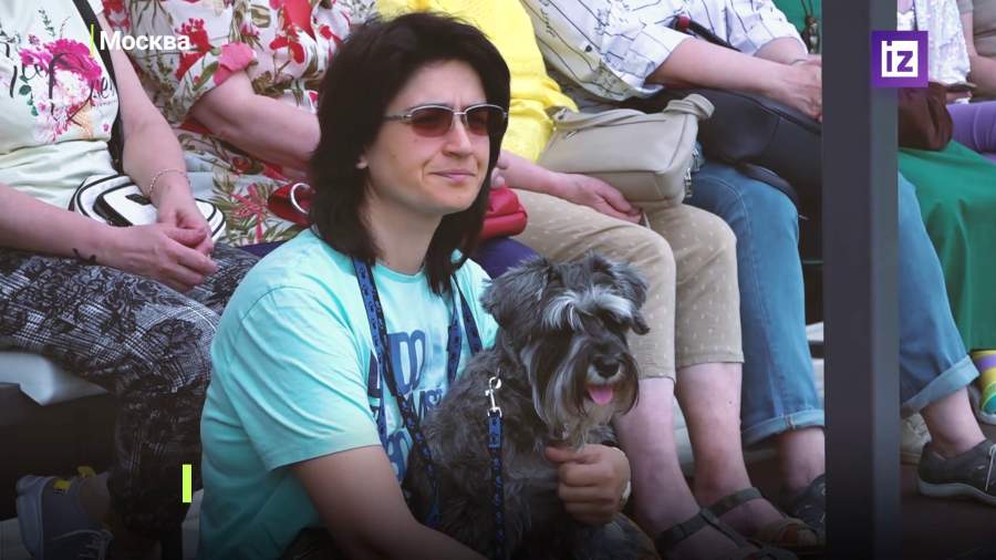 В Москве определили самых ловких и умных собак