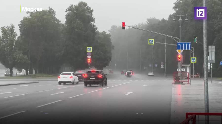 К концу недели в Москве ожидается потепление