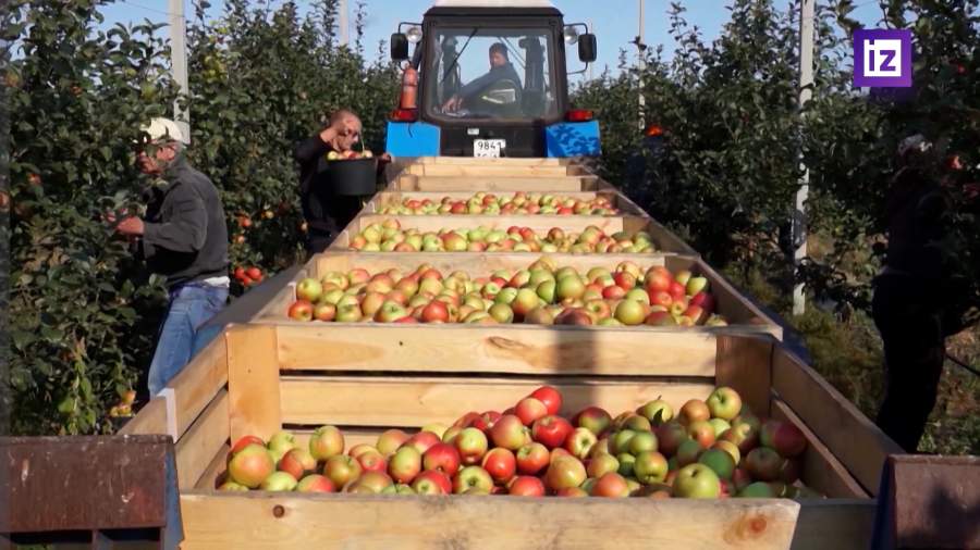 Первый ГОСТ для фермерской продукции утвержден в России