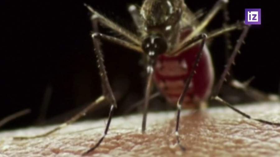 В Китае активно распространяется новое заболевание