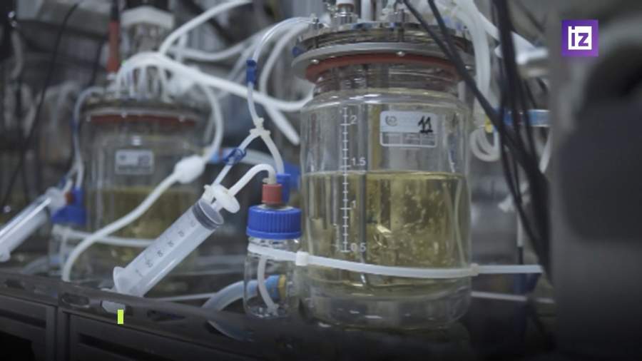 Совместные исследования Индии и РФ окажут влияние на мировую фарминдустрию