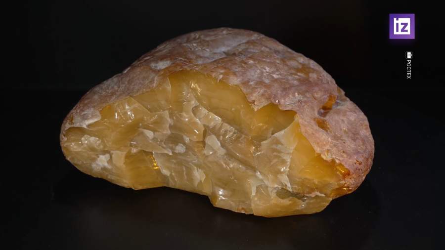Самый крупный за четыре года самородок янтаря добыли в Калининграде