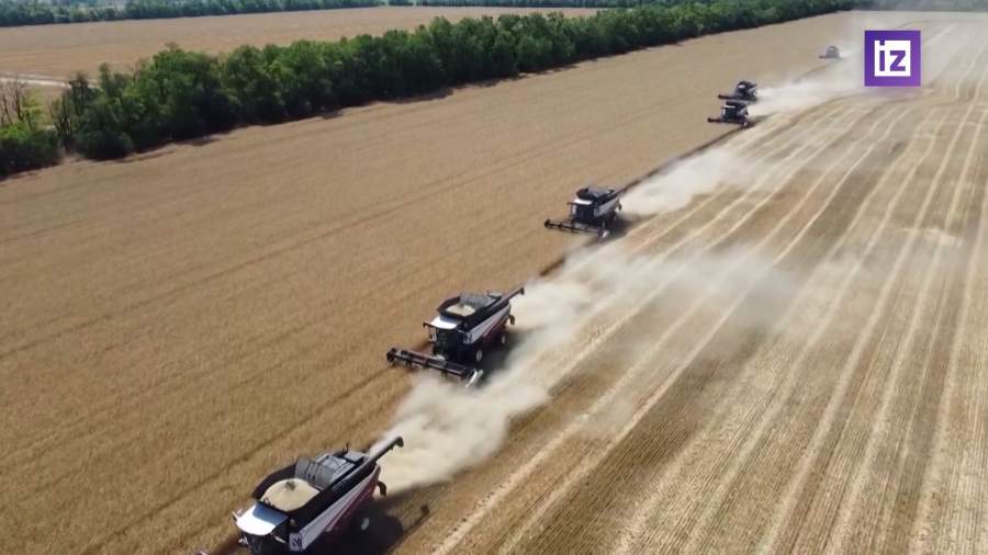 Показатели урожая в России превысят прошлогодний результат