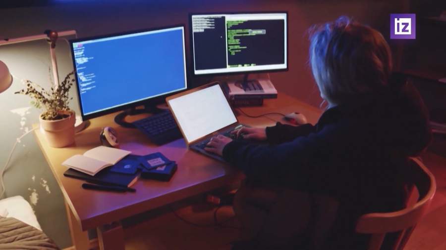 В России впервые снизилась доля интернет-мошенничества