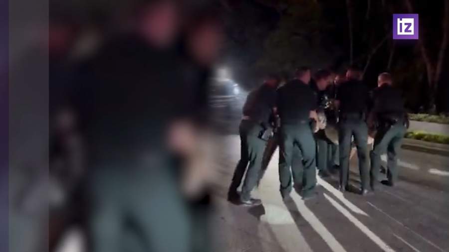 Во Флориде аллигатор весом почти 300 кг выполз на дорогу