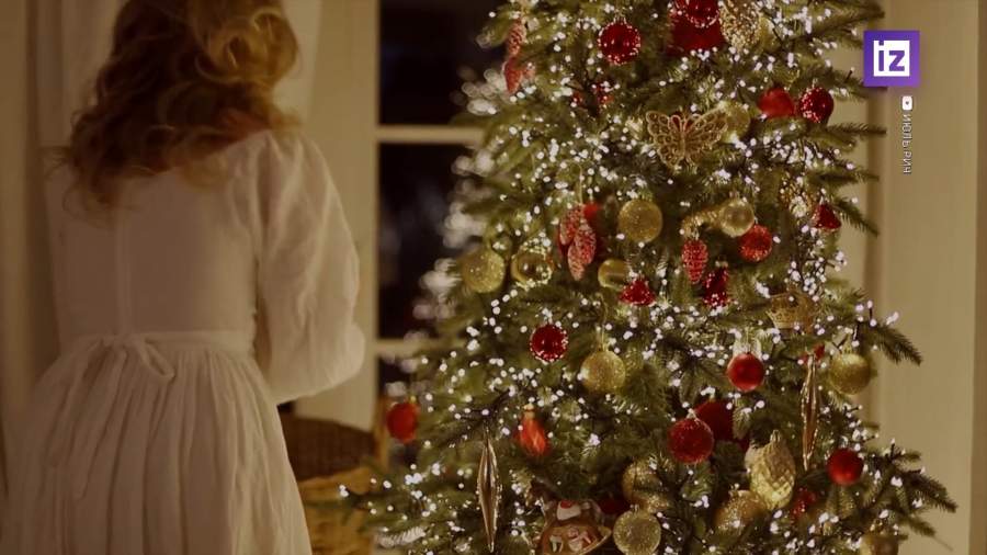 Россияне в декабре смогут купить порядка полумиллиона живых новогодних елок