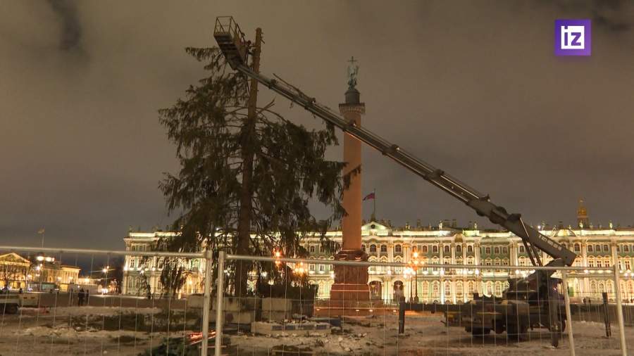 В Петербурге убрали главную елку города