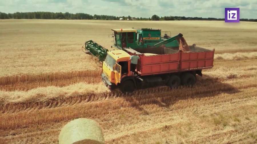 Россия сохранит позиции крупнейшего в мире экспортера пшеницы в текущем году