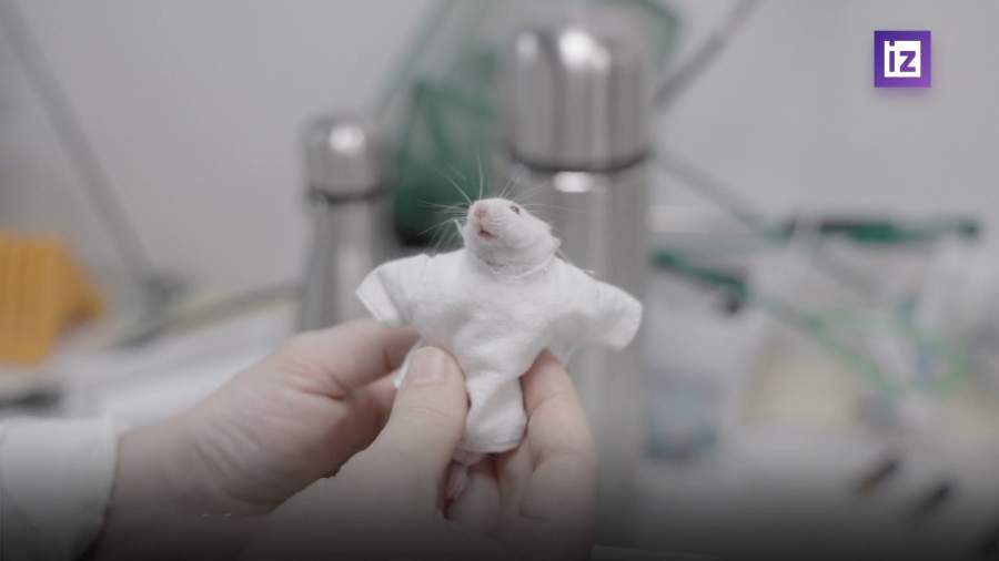 Российские ученые создали «умную» ткань